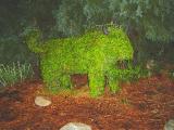 WildernessTopiary1.jpg