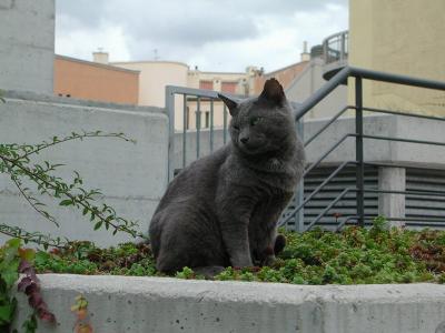 u49/antonio2004/medium/35914605.Foto06.jpg