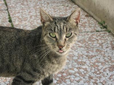 u49/antonio2004/medium/35914732.Foto20.jpg