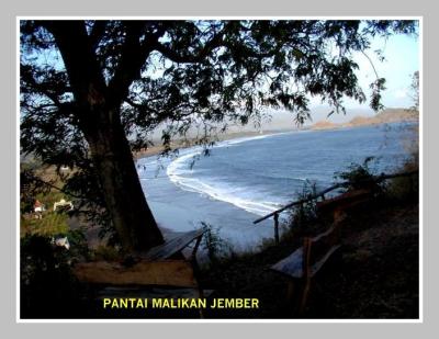 Papuma Beach, Jember
