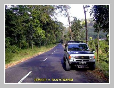 Jalan Tran -Jawa Selatan memasuki Banyuwangi