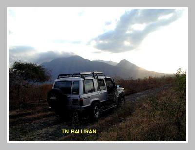 Gunung Baluran di latar belakang