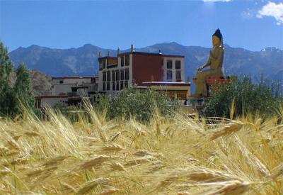 Likhir Gompa