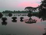 Mekong Don Dett dawn