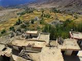 Chemrey Gompa fields