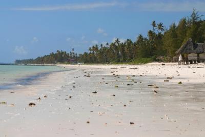 Damn crowded beach, Bwejuu