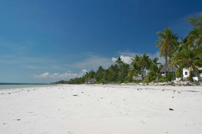 Paradise, Bwejuu beach, Zanzibar east coast
