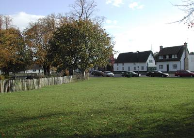 Village green