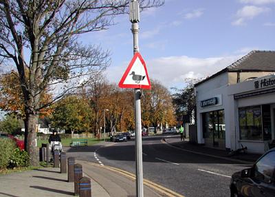 Village green