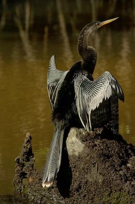 _DSC2026web.jpg
