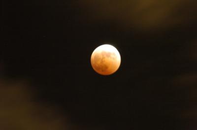 u49/baja_traveler/medium/35780318.LunarEclipse.jpg