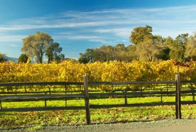 Wine Country Proof Samples