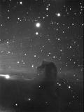 Horsehead Nebula - IC434