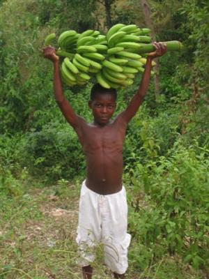 boy carrying banana's