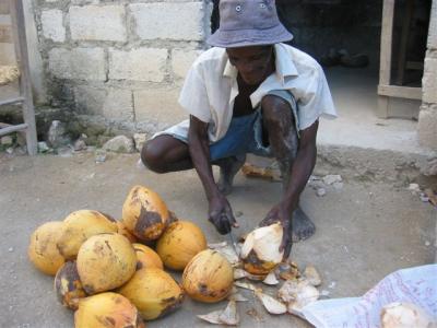 local cutting up coconuts for us