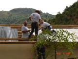 roof work
