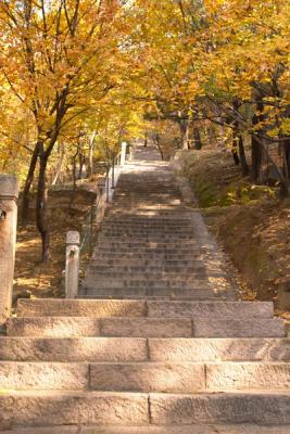 Great Wall Mutianyu Stairways