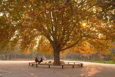 Ritan Park In Autumn