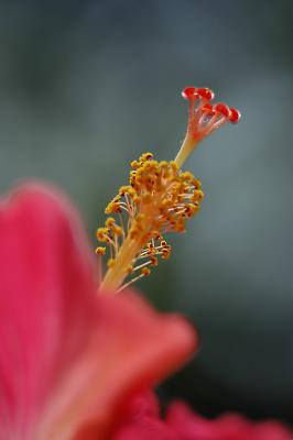 Some Early Fall Images