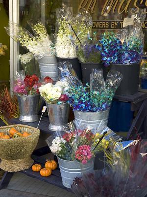 Frederick Flower Shop