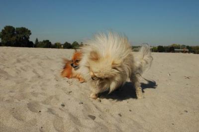 Oct7f_04_212.JPG