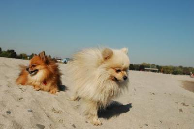 Oct7f_04_220.JPG