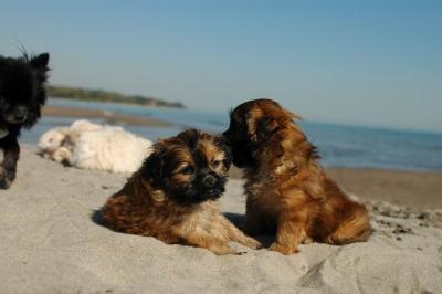 Oct7f_04_246.JPG