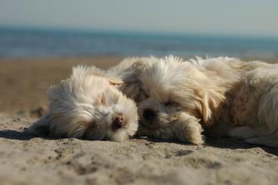 Oct7f_04_269.JPG