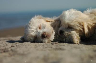 Oct7f_04_279.JPG