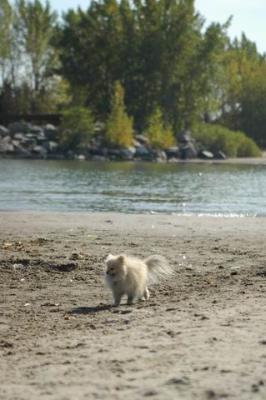 Oct7f_04_296.JPG