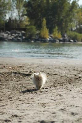 Oct7f_04_297.JPG