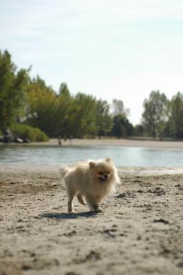 Oct7f_04_306.JPG