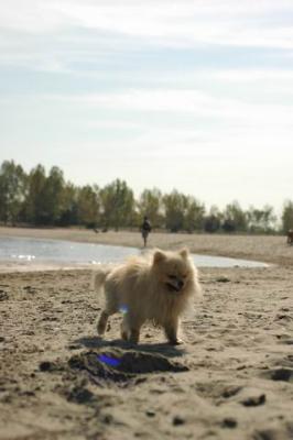 Oct7f_04_312.JPG