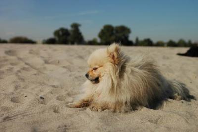 Oct7f_04_326.JPG