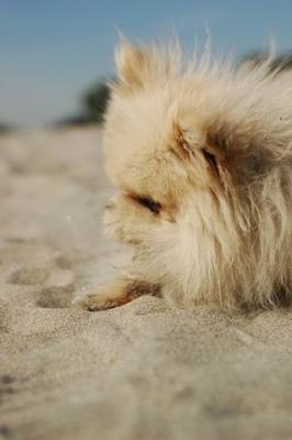 Oct7f_04_332.JPG
