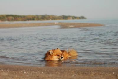 Oct7g_04_002.JPG