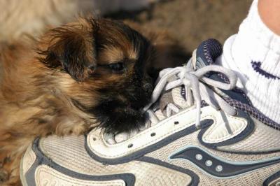 Oct7g_04_117.JPG