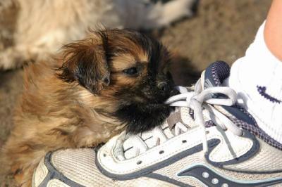 Oct7g_04_120.JPG