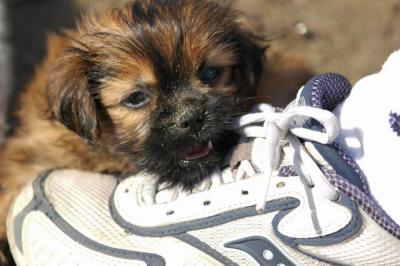 Oct7g_04_130.JPG