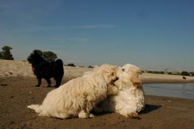 Oct7g_04_231.JPG