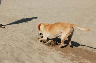 Oct7g_04_241.JPG