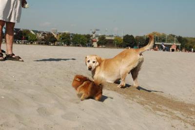 Oct7g_04_248.JPG