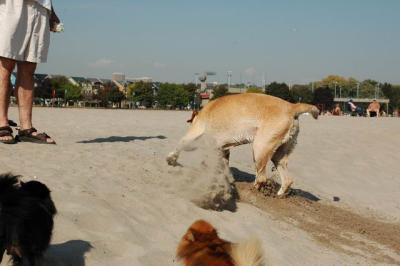 Oct7g_04_252.JPG
