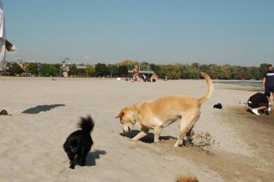 Oct7g_04_257.JPG