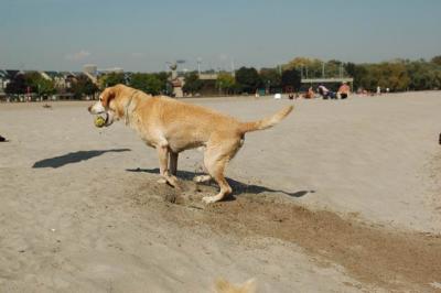 Oct7g_04_264.JPG