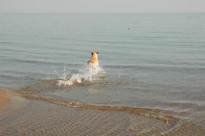 Oct7g_04_268.JPG