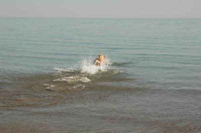Oct7g_04_271.JPG