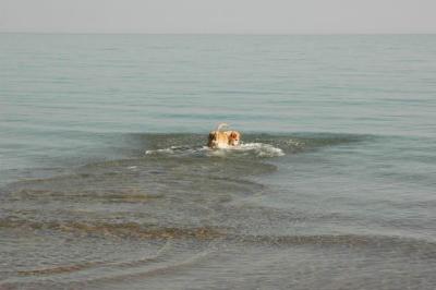 Oct7g_04_275.JPG