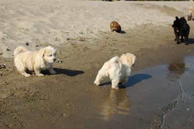 Oct7g_04_286.JPG