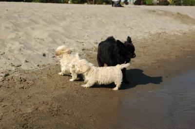 Oct7g_04_309.JPG